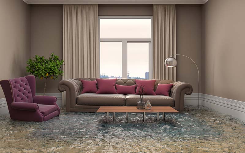 carpet cleaning in the suffolk, carpet cleaning in the suffolk, carpet cleaning the suffolk, carpet cleaners in the suffolk, carpet cleaners in the suffolk, commercial carpet cleaning, commercial carpet cleaning in the suffolk, the suffolk rug cleaners, rug cleaning services in the suffolk, same day carpet cleaning, same day rug cleaning